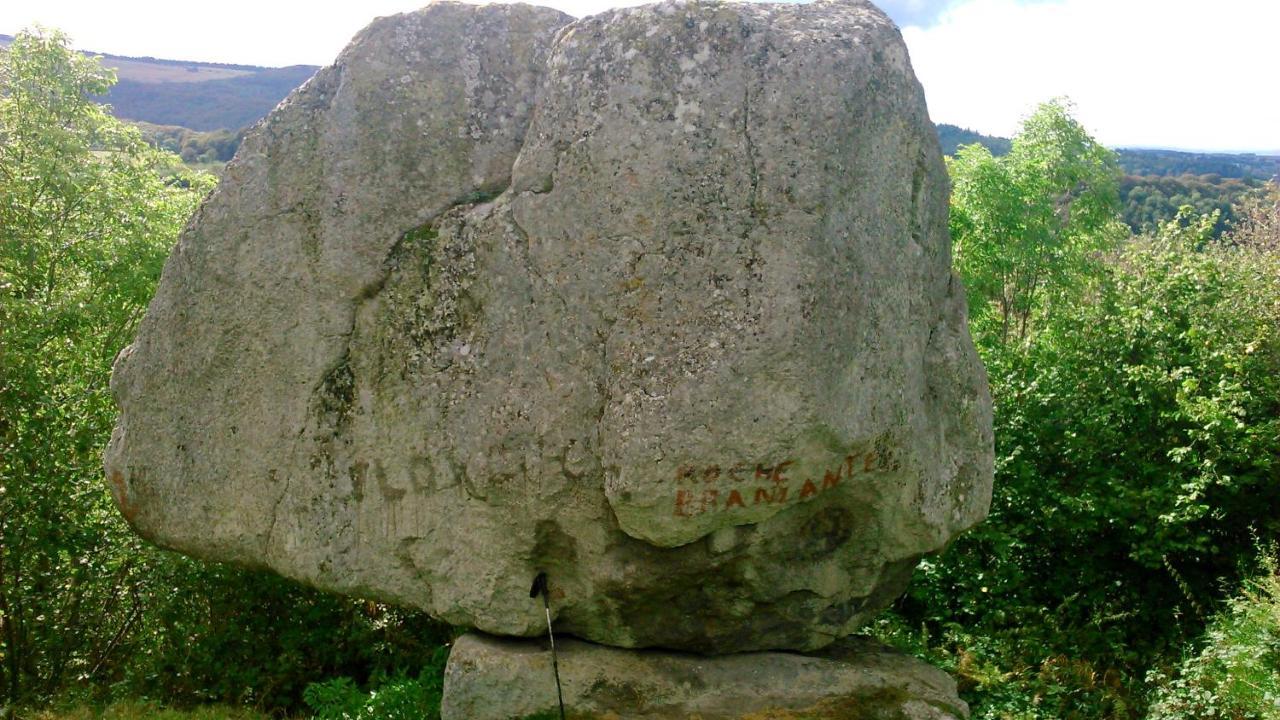 Coquelicot, Entre Volcans D Auvergne Et Sancy, Orcival. المظهر الخارجي الصورة
