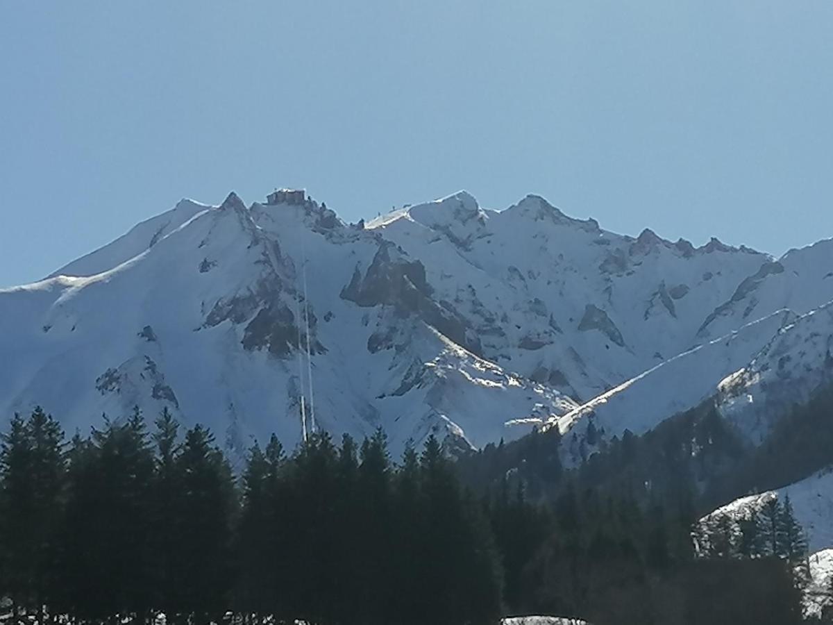 Coquelicot, Entre Volcans D Auvergne Et Sancy, Orcival. المظهر الخارجي الصورة